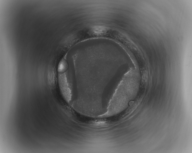 X0000101460651200807281000