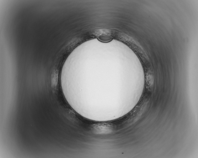 X0000101460652200807281000