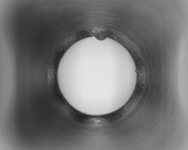 X0000101460654200807281000