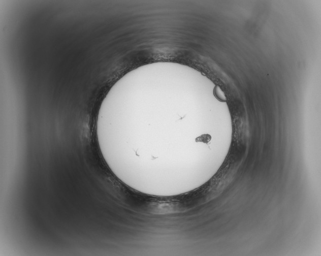 X0000101460655200807281000