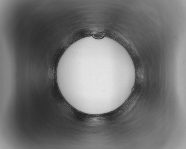 X0000101460657200807281000