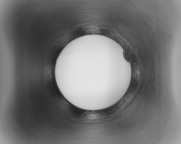 X0000101460658200807281000