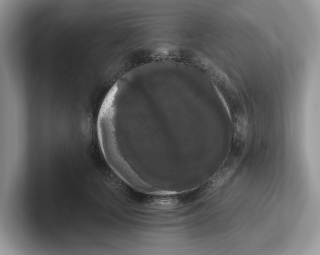 X0000101460659200807281000