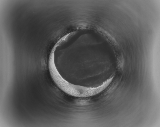 X0000101460661200807281000