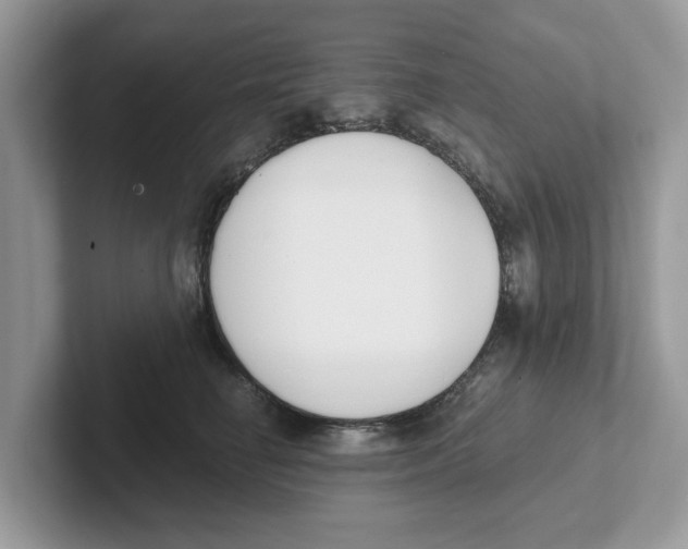 X0000101460662200807281000