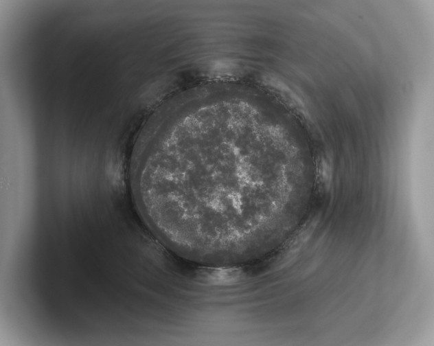 X0000101460663200807281000