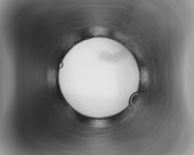 X0000101460664200807281000