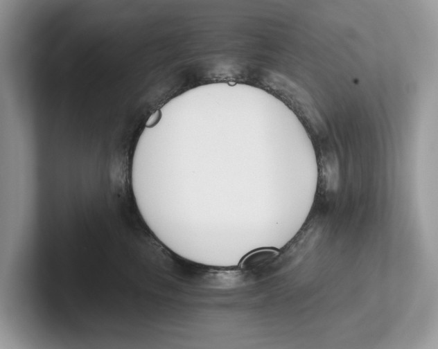 X0000101460665200807281000