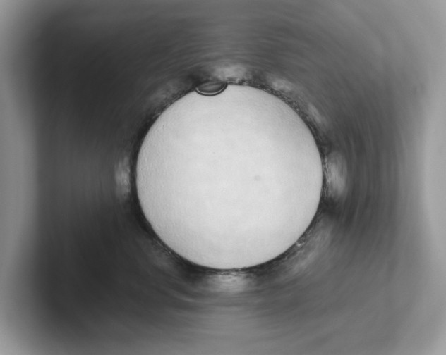 X0000101460668200807281000