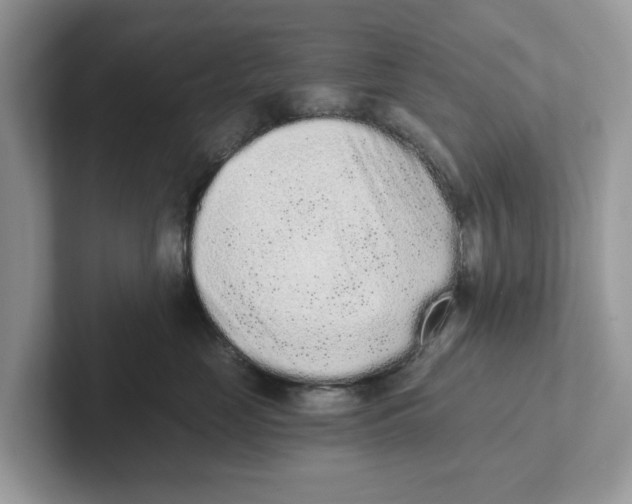 X0000101460669200807281000