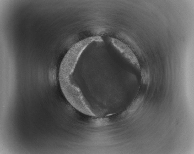 X0000101460670200807281000