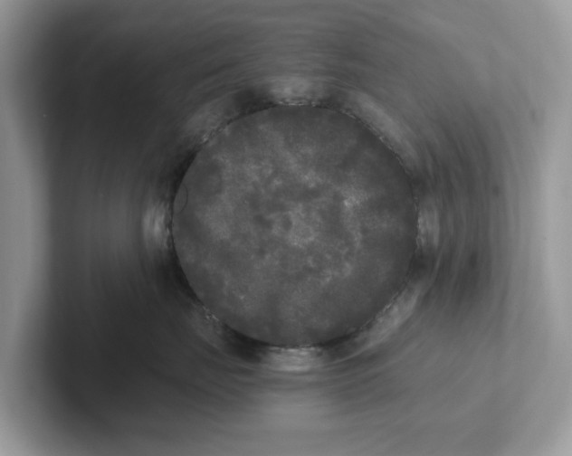 X0000101460671200807281000