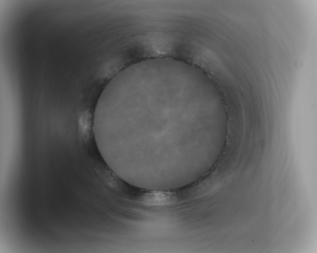 X0000101460672200807281000