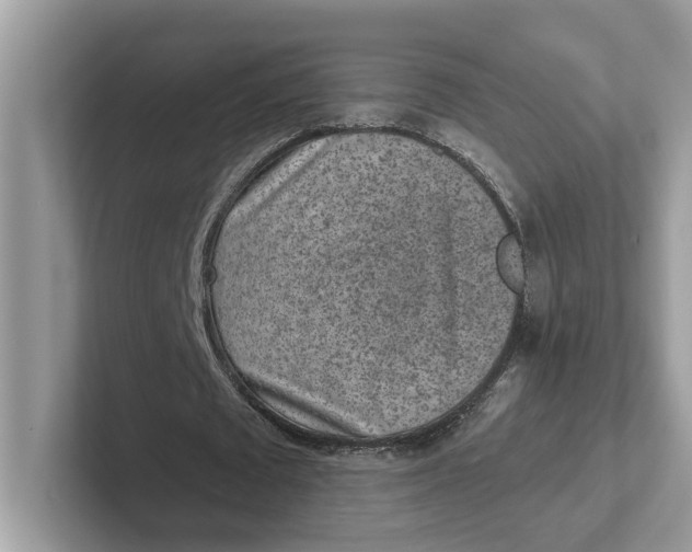 X0000101460673200807281000