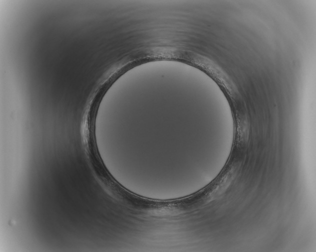 X0000101460674200807281000