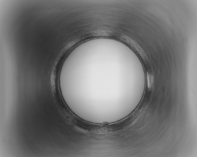 X0000101460675200807281000