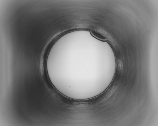 X0000101460676200807281000