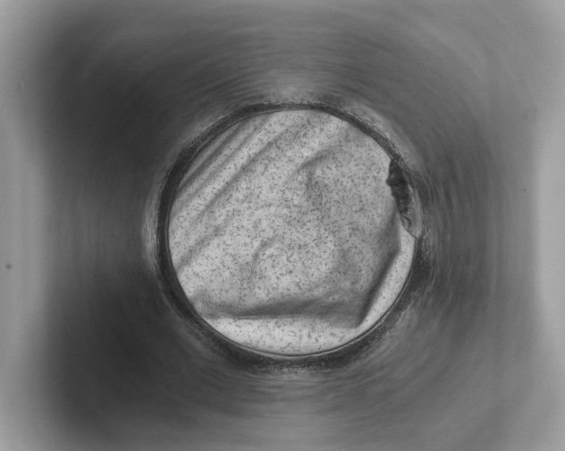 X0000101460677200807281000