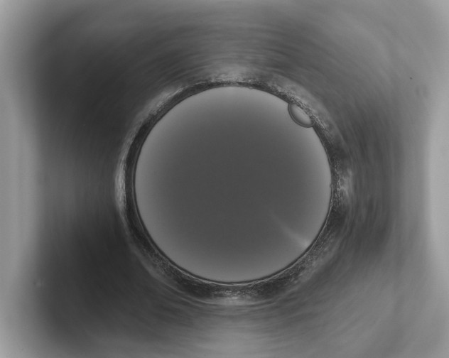 X0000101460678200807281000