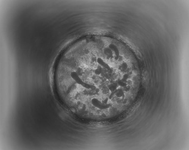 X0000101460679200807281000