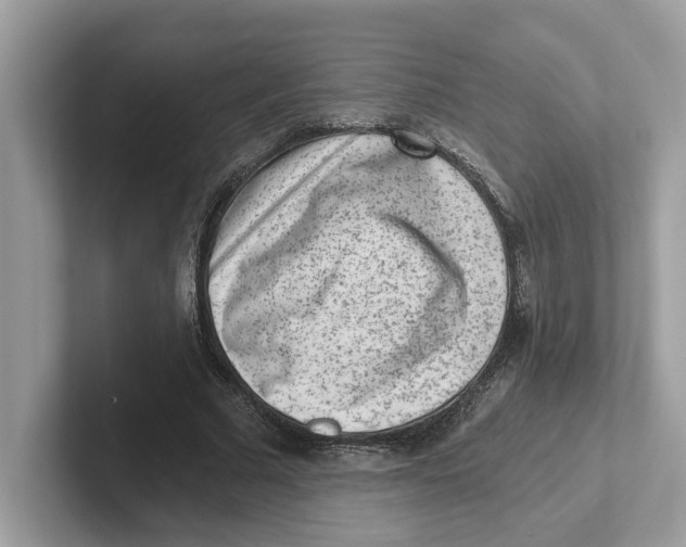 X0000101460681200807281000