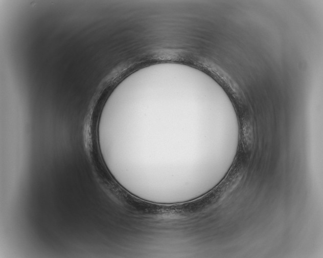 X0000101460682200807281000