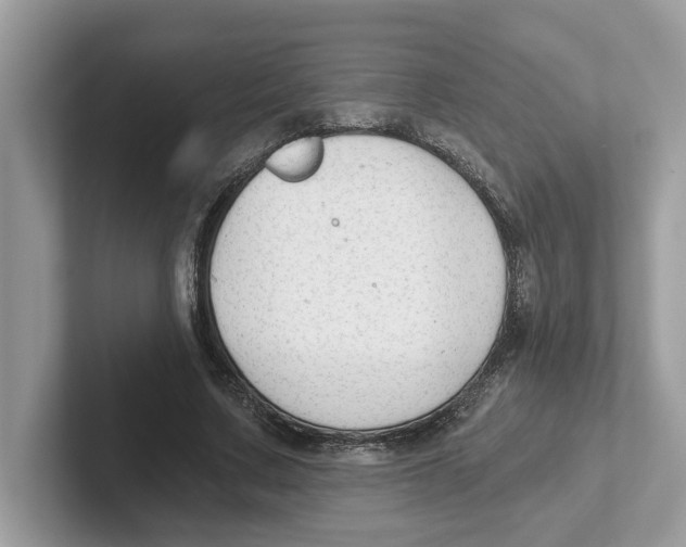 X0000101460683200807281000