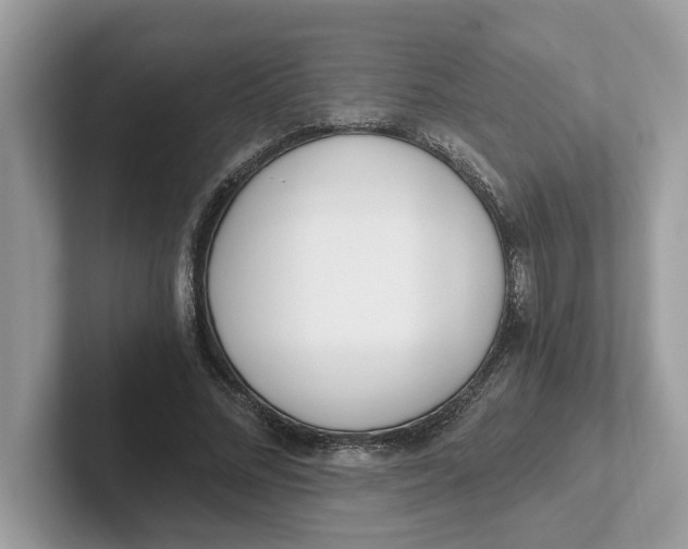 X0000101460684200807281000