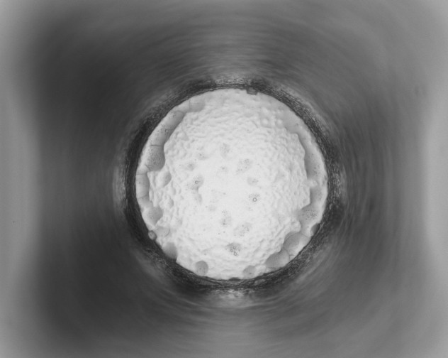 X0000101460687200807281000