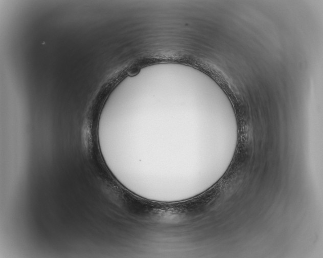 X0000101460688200807281000