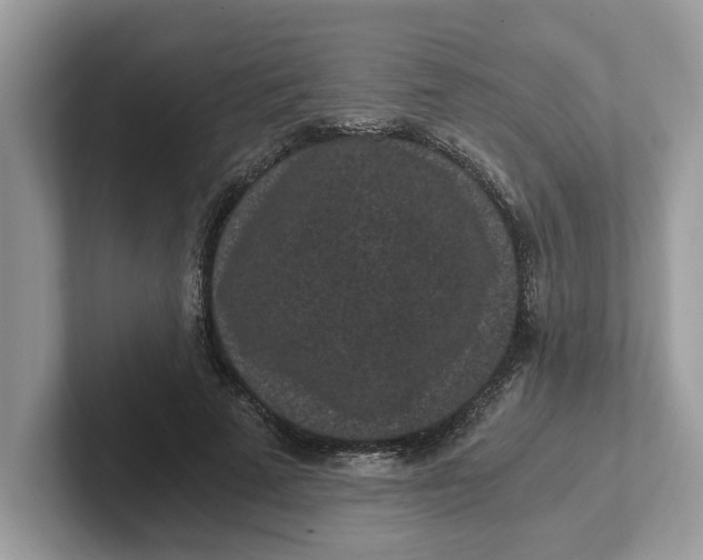 X0000101460689200807280959