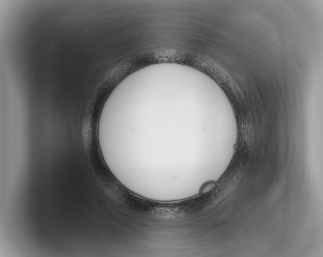 X0000101460690200807280959