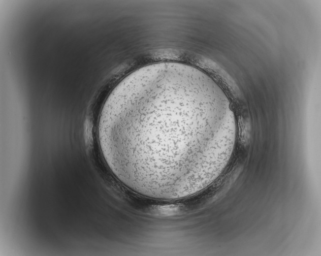 X0000101460692200807280959