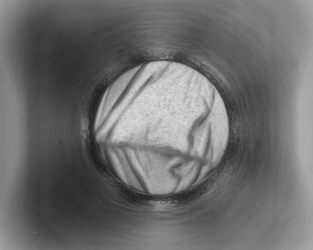 X0000101460693200807280959