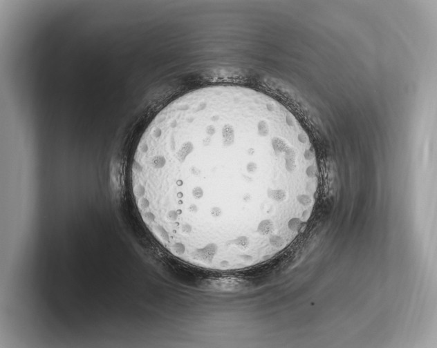 X0000101460695200807280959