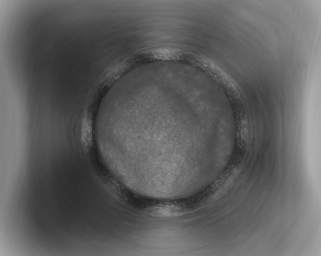 X0000101460696200807280959