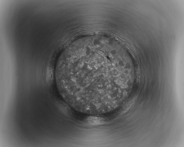 X0000101460699200807280959