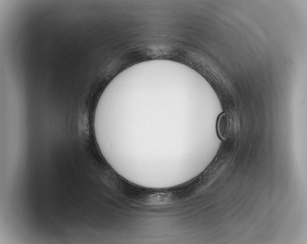 X0000101460700200807280959