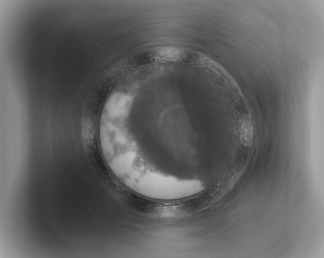 X0000101460701200807280959