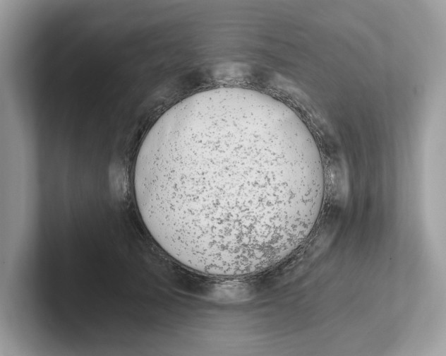 X0000101460705200807280959