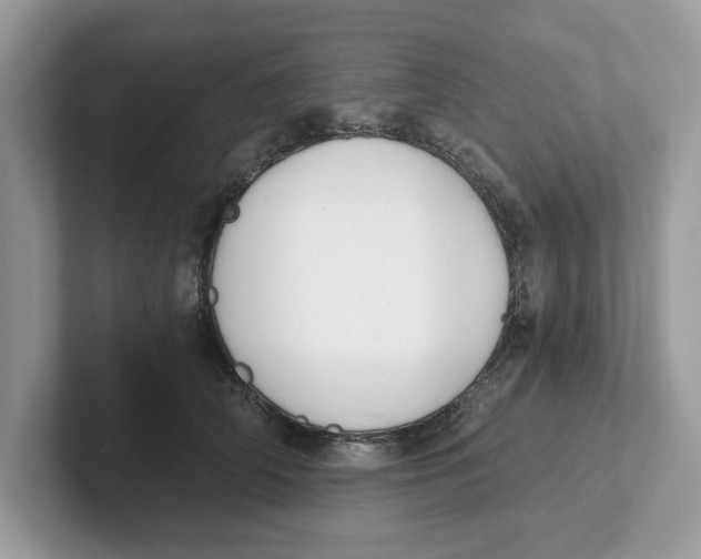 X0000101460706200807280959