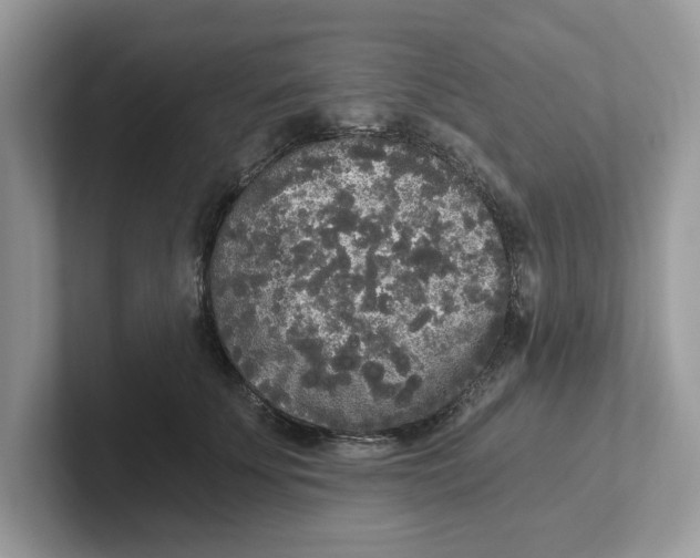 X0000101460707200807280959