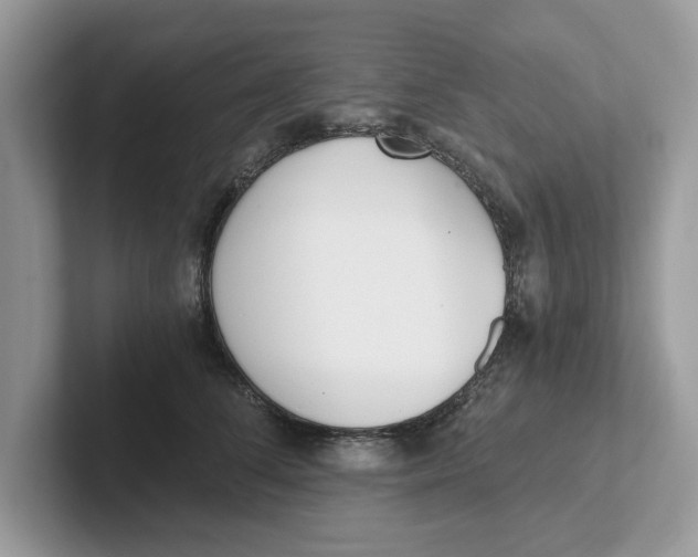 X0000101460708200807280959