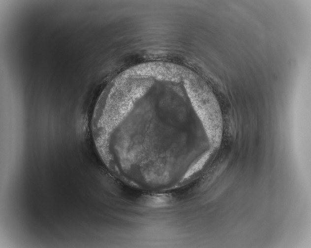 X0000101460711200807280959