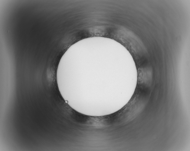 X0000101460713200807280959