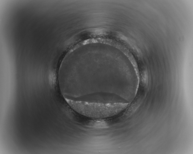 X0000101460715200807280959