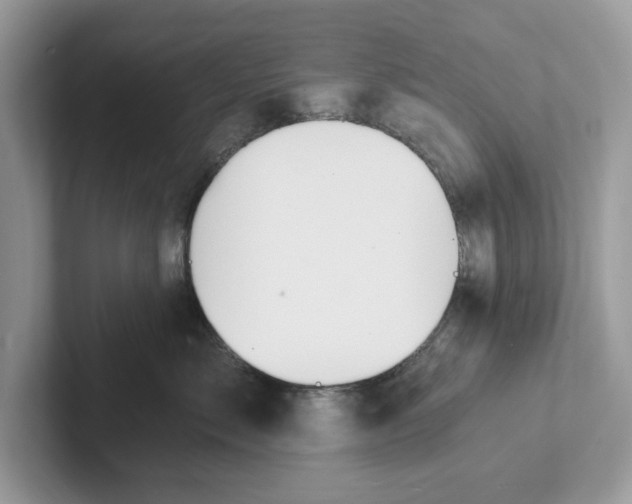 X0000101460717200807280959