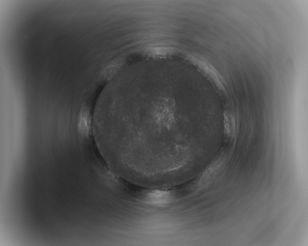 X0000101460718200807280959