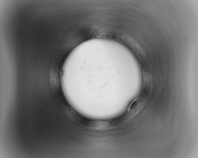 X0000101460719200807280959