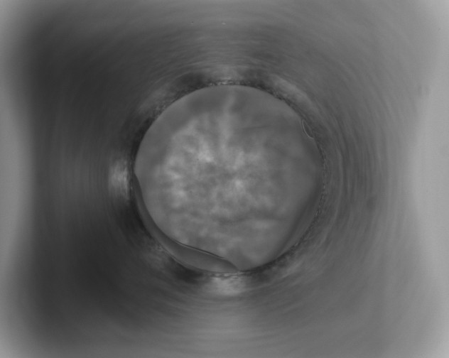 X0000101460720200807280959